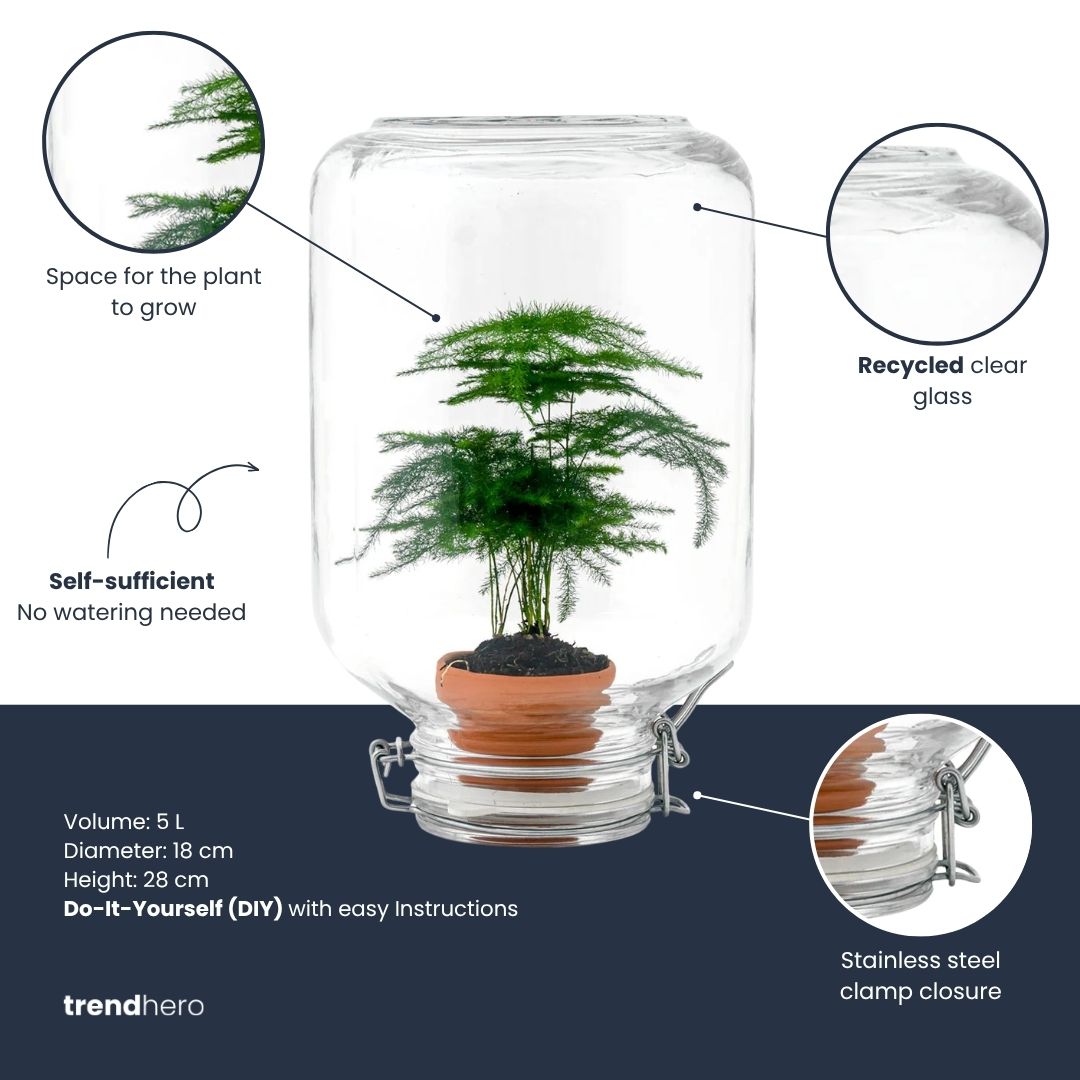Easyplant - Fido terrarium jar - Bottle Garden DIY kit - Ø 18 cm ↑ 28 cm