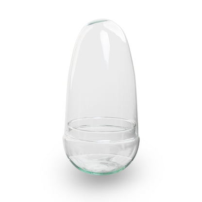 Egg Asparagus - Terrarium - Two-part glass dome - Bottle garden DIY kit - Ø 12 cm ↑ 25 cm