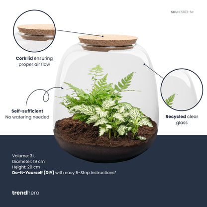 Emma Mini - Fittonia + Fern - Terrarium with cork - Bottle garden DIY kit - Ø 19 cm ↑ 20 cm