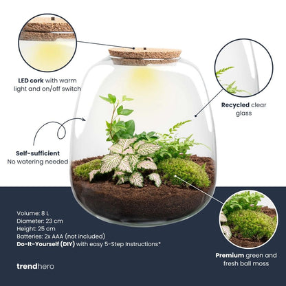 Comnox - Emma - Hedera Red - DIY Terrarium met LED - 23 cm