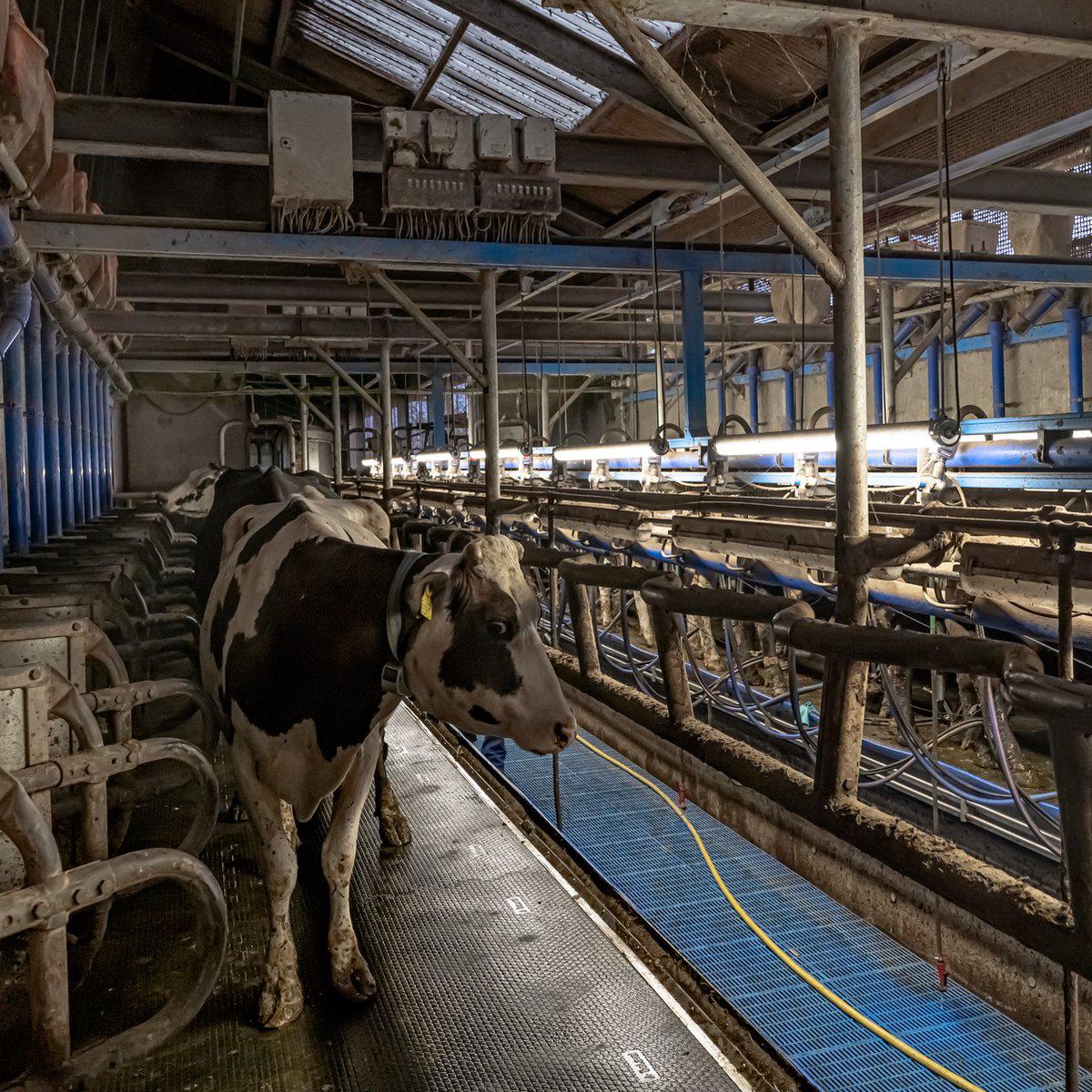 Comnox - FarmPro LED TL armatuur - Robuuste agrarische verlichting - 150 cm