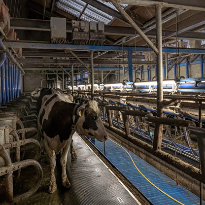 FarmPro LED TL armatuur 150 cm  - Agrarische LED TL verlichting  - Ammoniak- en waterbestendig  - IP69K