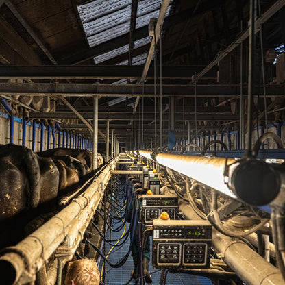 FarmPro LED TL armatuur 150 cm  - Agrarische LED TL verlichting  - Ammoniak- en waterbestendig  - IP69K