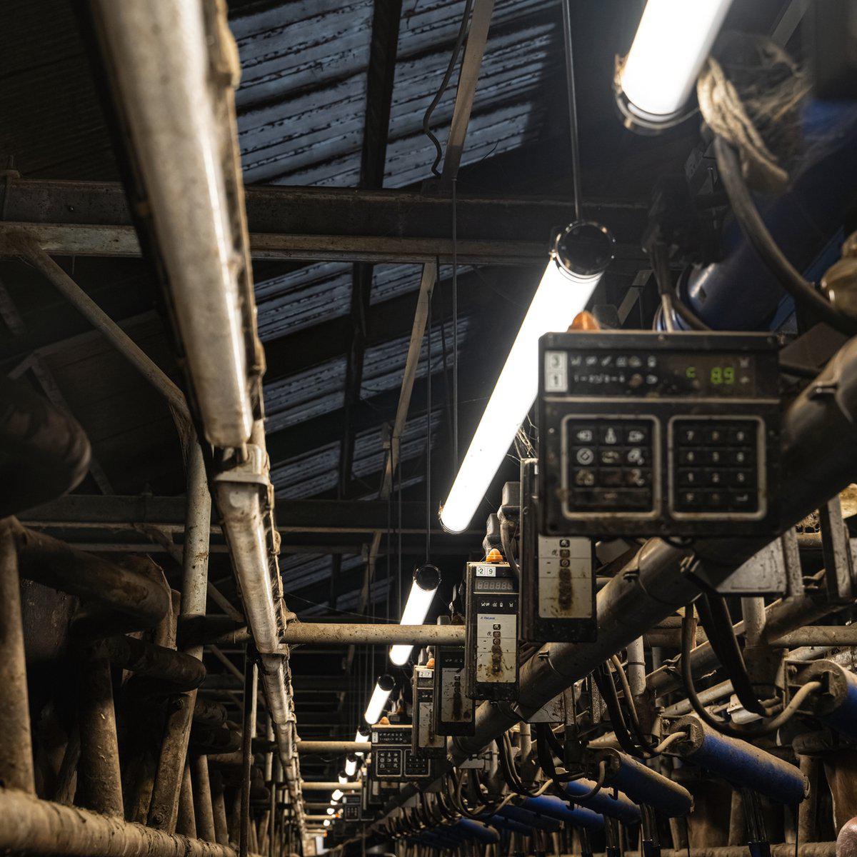 FarmPro LED TL armatuur 150 cm  - Agrarische LED TL verlichting  - Ammoniak- en waterbestendig  - IP69K