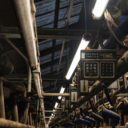 FarmPro LED TL armatuur 150 cm  - Agrarische LED TL verlichting  - Ammoniak- en waterbestendig  - IP69K