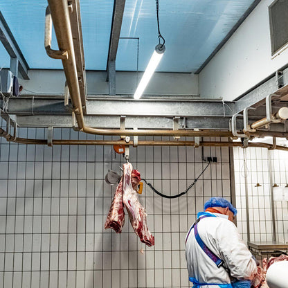 FarmPro LED TL armatuur 150 cm  - Agrarische LED TL verlichting  - Ammoniak- en waterbestendig  - IP69K