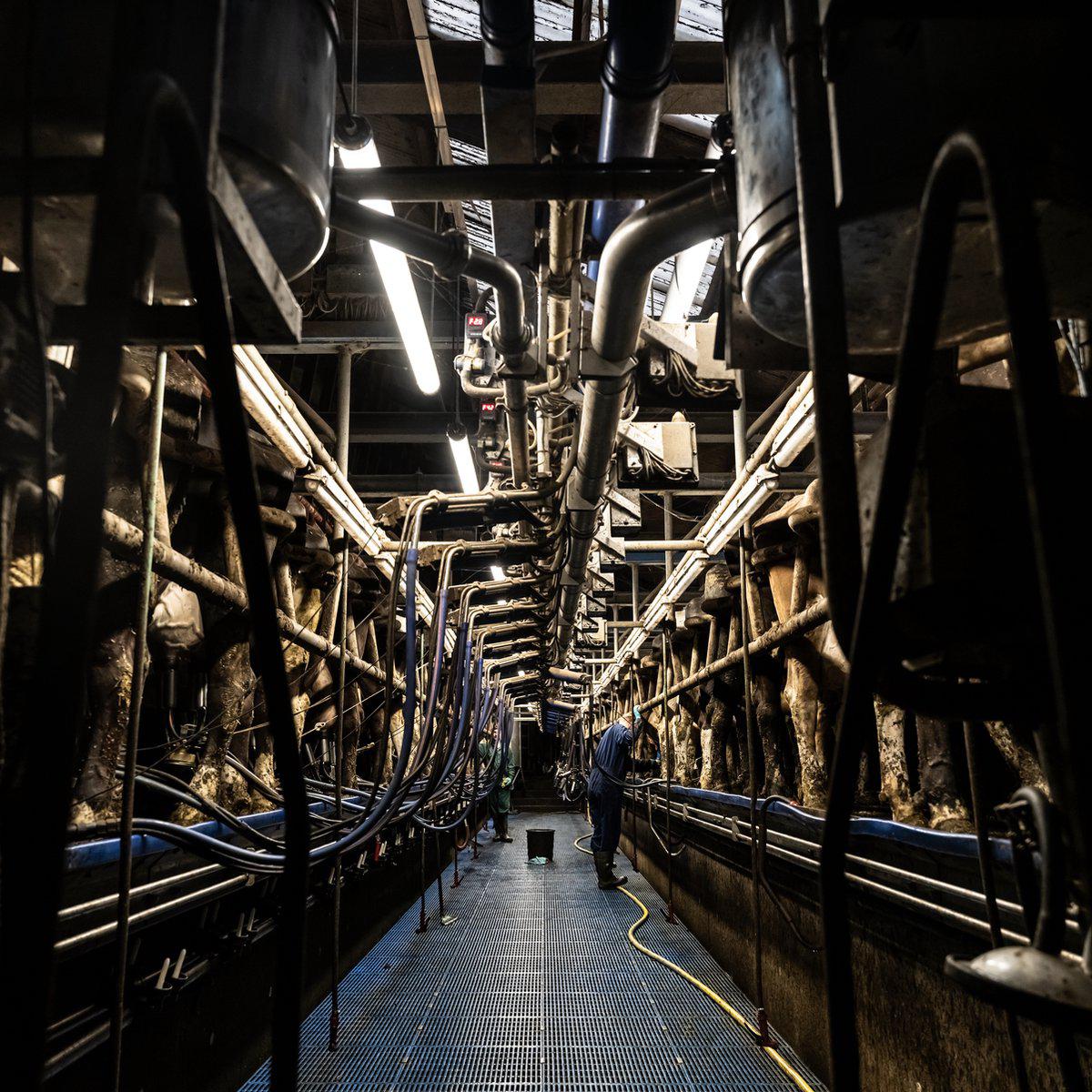 FarmPro LED TL armatuur 150 cm  - Agrarische LED TL verlichting  - Ammoniak- en waterbestendig  - IP69K