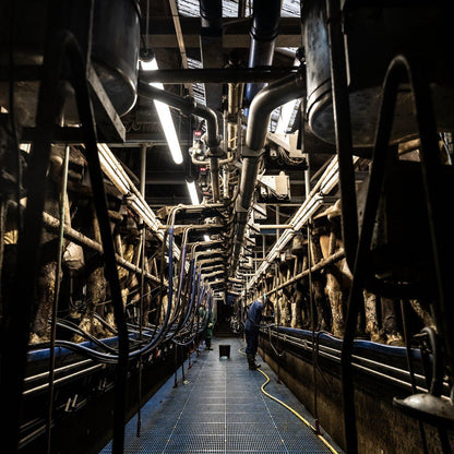 FarmPro LED TL armatuur 150 cm  - Agrarische LED TL verlichting  - Ammoniak- en waterbestendig  - IP69K