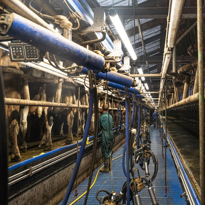 FarmPro LED TL armatuur 150 cm  - Agrarische LED TL verlichting  - Ammoniak- en waterbestendig  - IP69K