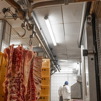 FarmPro LED TL armatuur 150 cm  - Agrarische LED TL verlichting  - Ammoniak- en waterbestendig  - IP69K