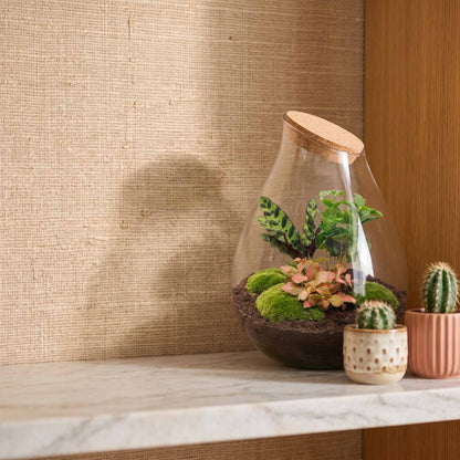 Comnox - Drop XXL Red - Zelfbouw Terrarium Kit - Inclusief Planten en Grond
