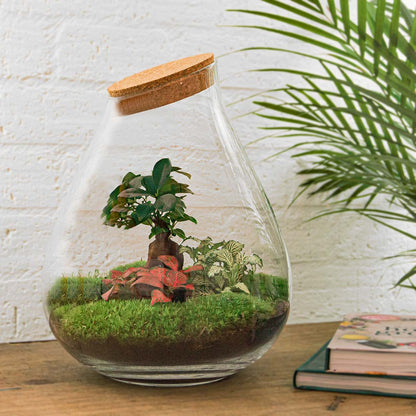 Drop XL Red - Terrarium with cork - Bottle garden DIY kit – Ø 24 cm ↑ 37 cm