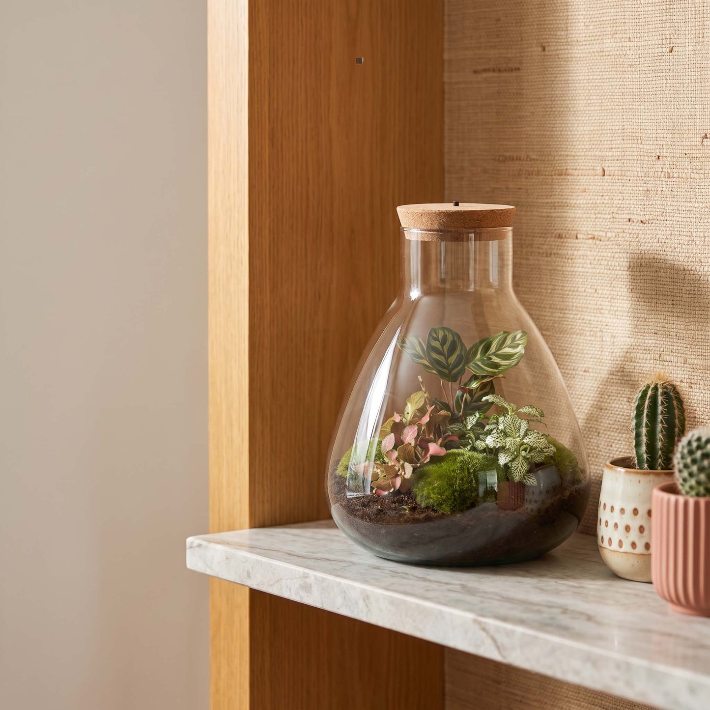 Comnox - Sam Calathea - DIY Terrarium Kit met LED - 30 cm