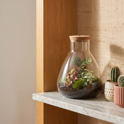 Comnox - Sam Calathea - DIY Terrarium Kit met LED - 30 cm
