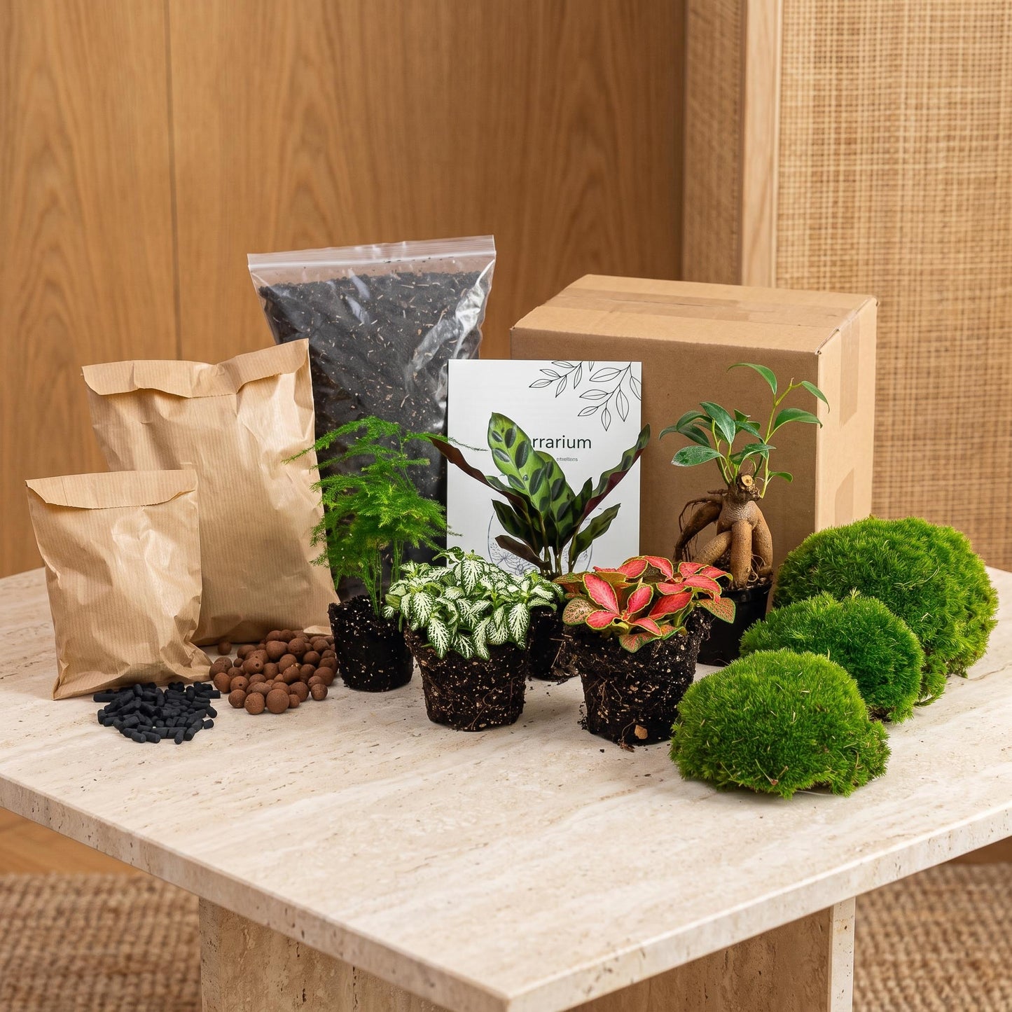 Comnox - Plant terrarium Refill & Starter kit - DIY pakket met 5 planten