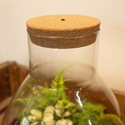 Cork with led - Terrarium cork with light - Customizable -  3 sizes available