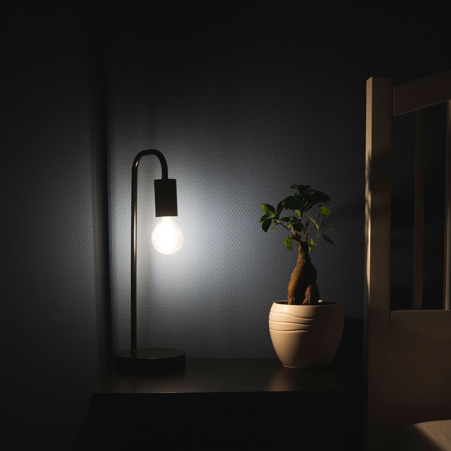 Dimbare LED filament lamp - E27 fitting - Dimbaar warm wit licht - Classic