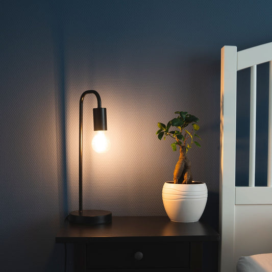 Comnox - Dimbare LED filament lamp - Warm witte sfeerlamp - 806 lumen - 6W - Dimbaar - E27