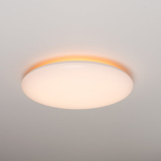 LED.nl Dimbare LED Plafondlamp _ 35 cm - Dimbaar in 8 standen - Warm wit plafonniere