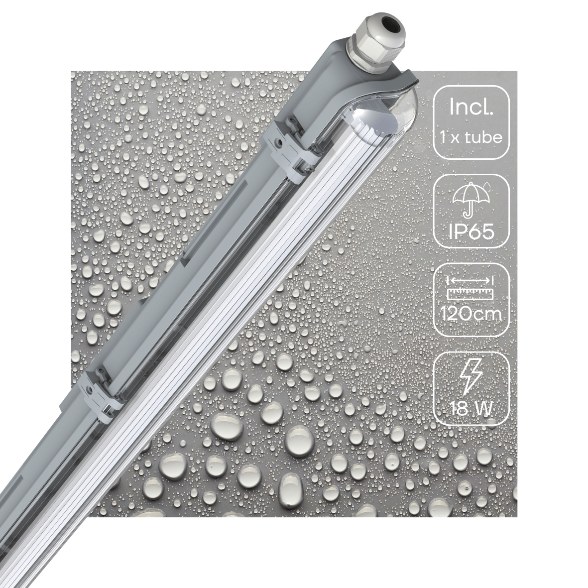 Grijze LED-buis met transparante beschermkap en witte aansluiting, geïntegreerd met een goudkleurige verpakking voor professionele verlichting in kantoren en industriële ruimtes.