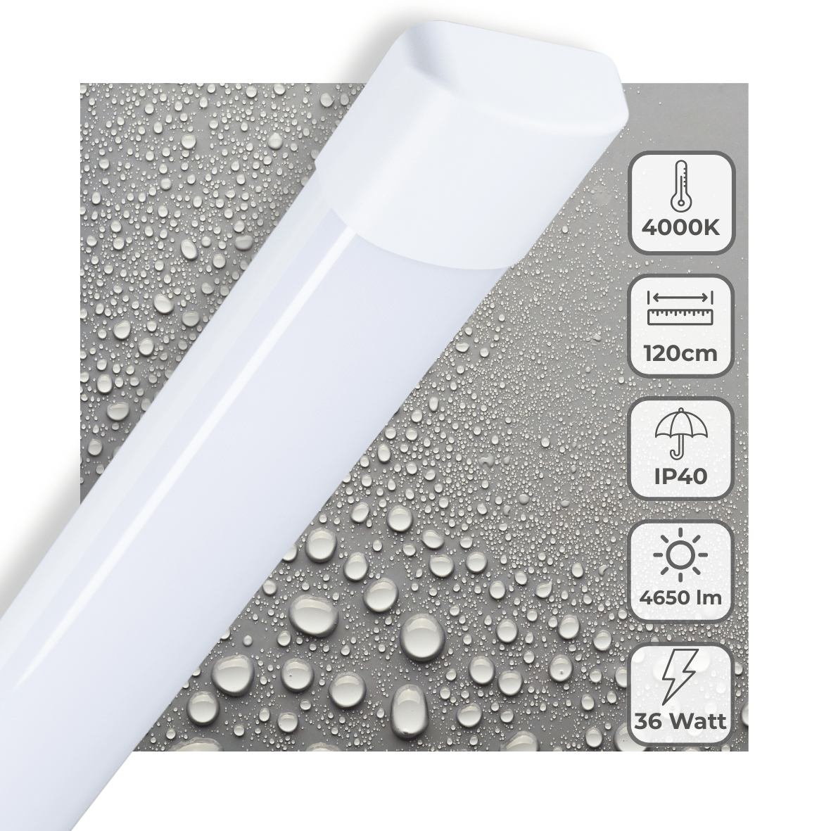 LED's Light LED TL lamp 120 cm voor binnen - Complete LED TL verlichting - 4650 lm