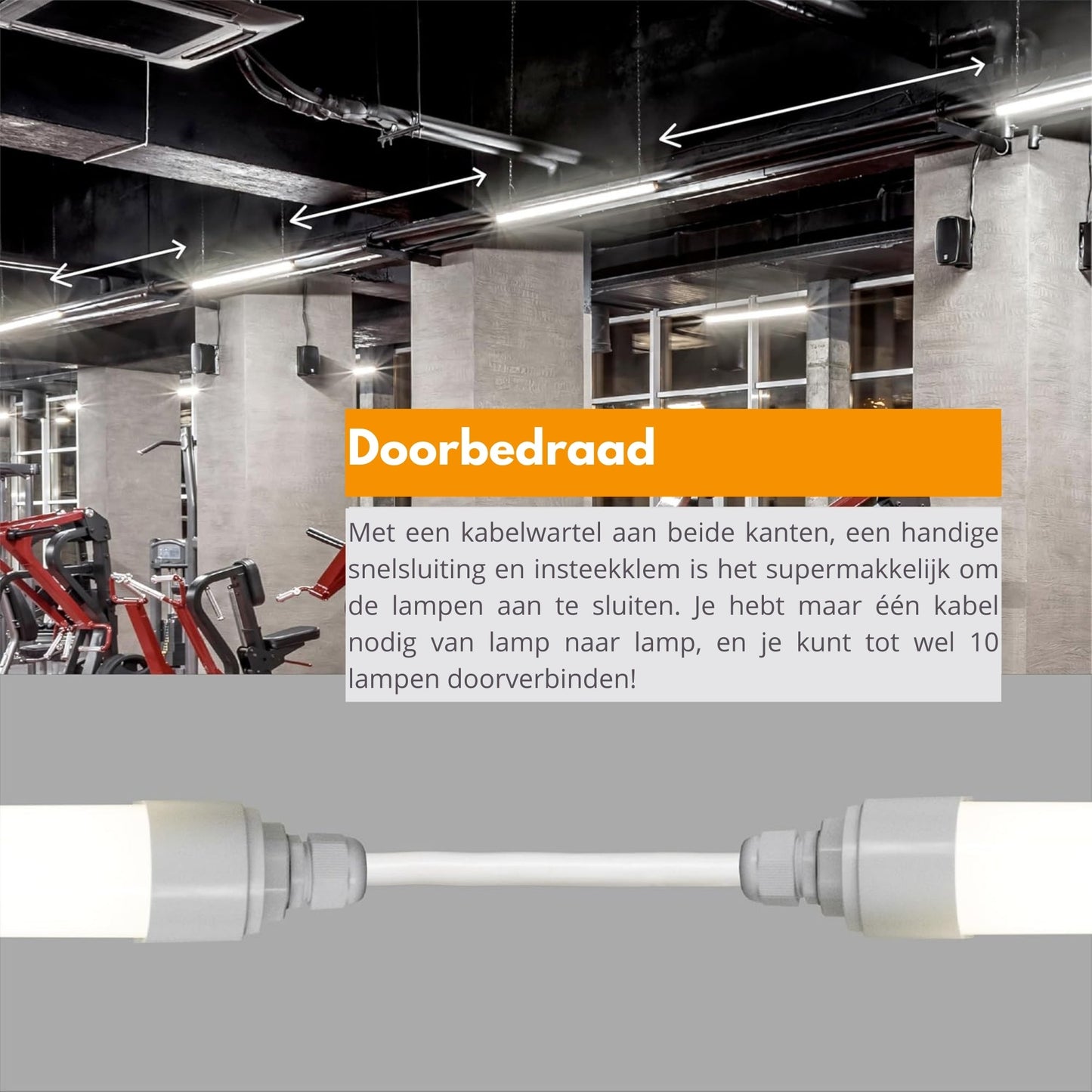 2 PACK - LED's Light LED TL lamp compleet 120 cm - Koppelbaar tot 10 lampen - Waterdicht - IP65