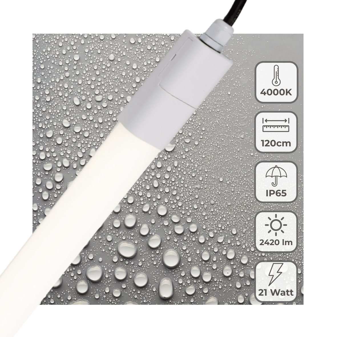 LED's Light LED TL verlichting compleet 120 cm - Geschikt voor buiten en binnen - 2420 lm