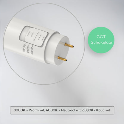 Een witte, 120 cm lange LED-verlichtingsbuis met een glazen kap en een zichtbare stekker. Geschikt voor professionele ruimtes zoals kantoren of magazijnen.