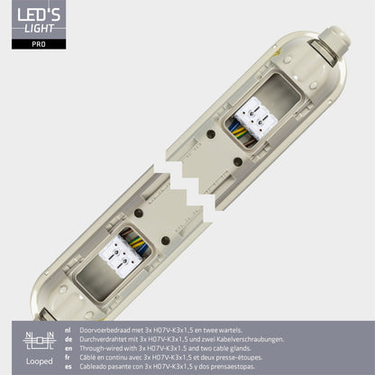2 PACK - LED's Light Pro LED TL armatuur compleet 120 cm - Waterdicht - 4640 lm