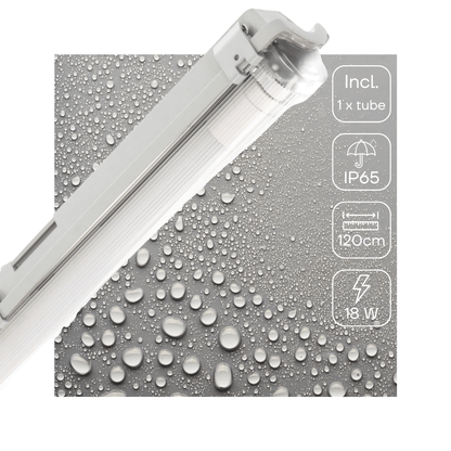 Grijze LED-buis met transparante beschermkap en witte aansluiting, geïntegreerd met een goudkleurige verpakking voor professionele verlichting in kantoren en industriële ruimtes.