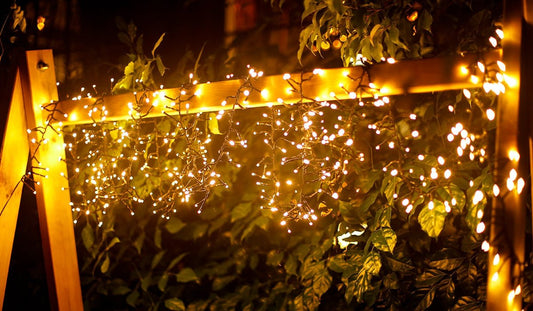 Zwarte LED-lichtketting met warm wit licht, geschikt voor kerstversiering. Inclusief Europese stekker voor veilige verlichting in huis of tuin.
