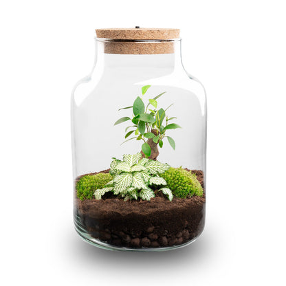 Little Milky - Bonsai - Terrarium with light - Bottle garden DIY kit - Ø 17 cm ↑ 25 cm