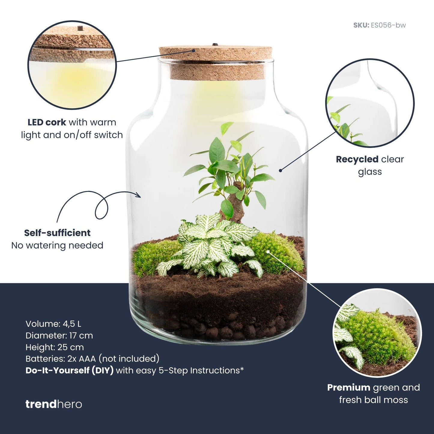 Comnox - Little Milky - DIY Terrarium Kit met LED - 25 cm hoog