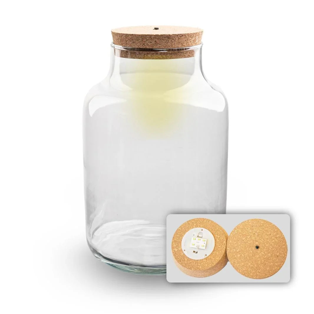 Comnox - Milky - Verlicht mini-ecosysteem - Glas met LED