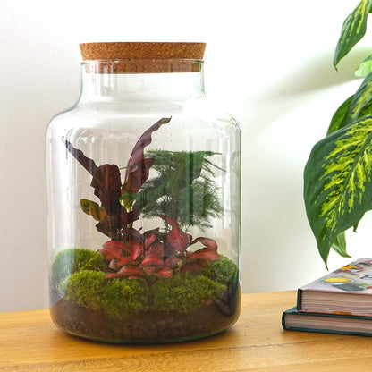 Milky - Terrarium with light - Bottle garden DIY kit - Ø 21 cm ↑ 30 cm