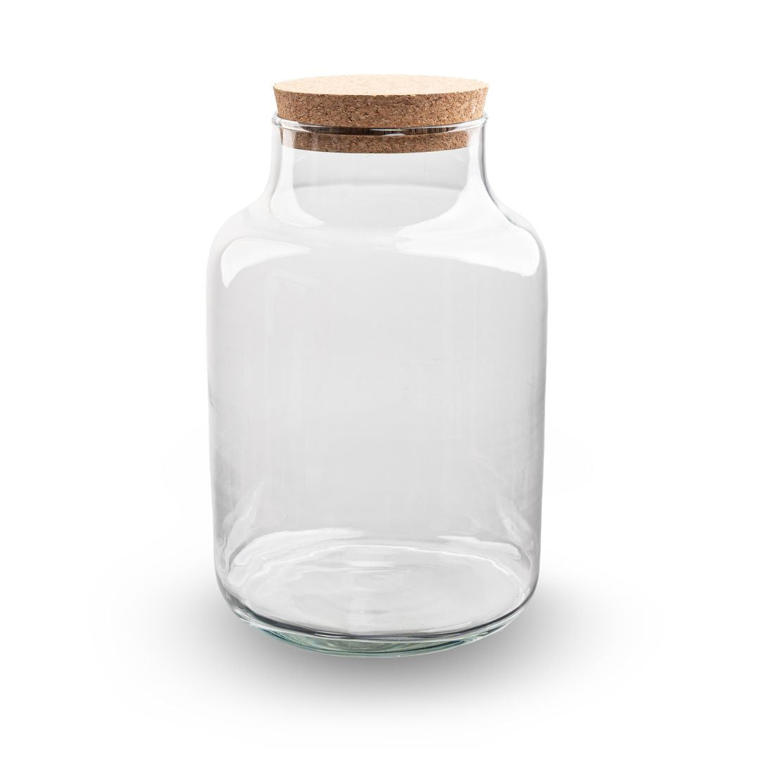 Comnox - Milky - Verlicht mini-ecosysteem - Glas met LED