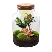 Milky - Terrarium with light - Bottle garden DIY kit - Ø 21 cm ↑ 30 cm