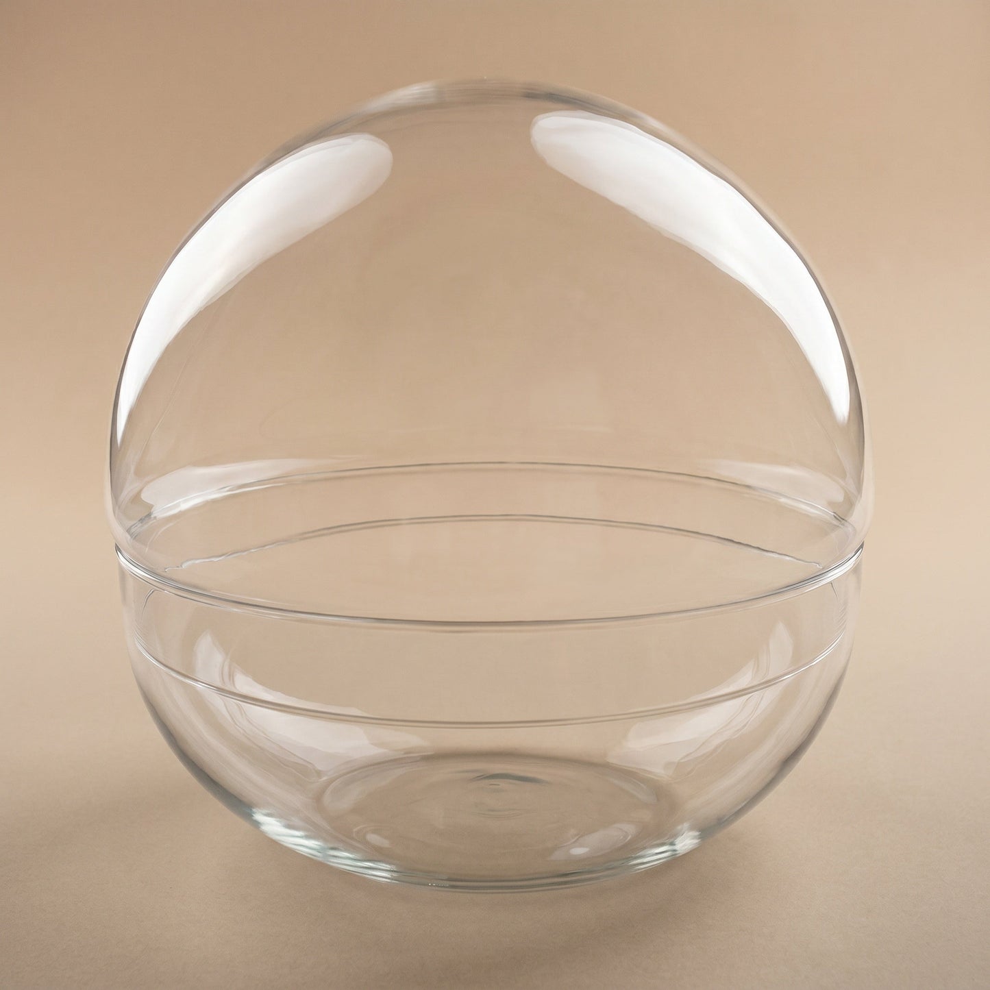 Terrarium bottle ‘Dome XL’ – Two-part round glass – Closed terrarium Ø 28 cm ↑ 28 cm