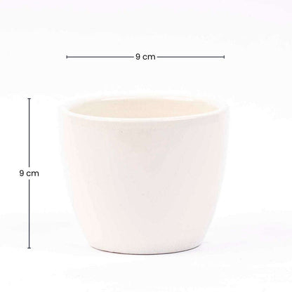 Panna Gloss - Mini Plant Pot - Boule Pot white - Ø 6 cm ↑ 6 cm – Accessoires – Comnox Company