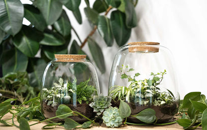 Comnox - Emma - Hedera Red - DIY Terrarium met LED - 23 cm