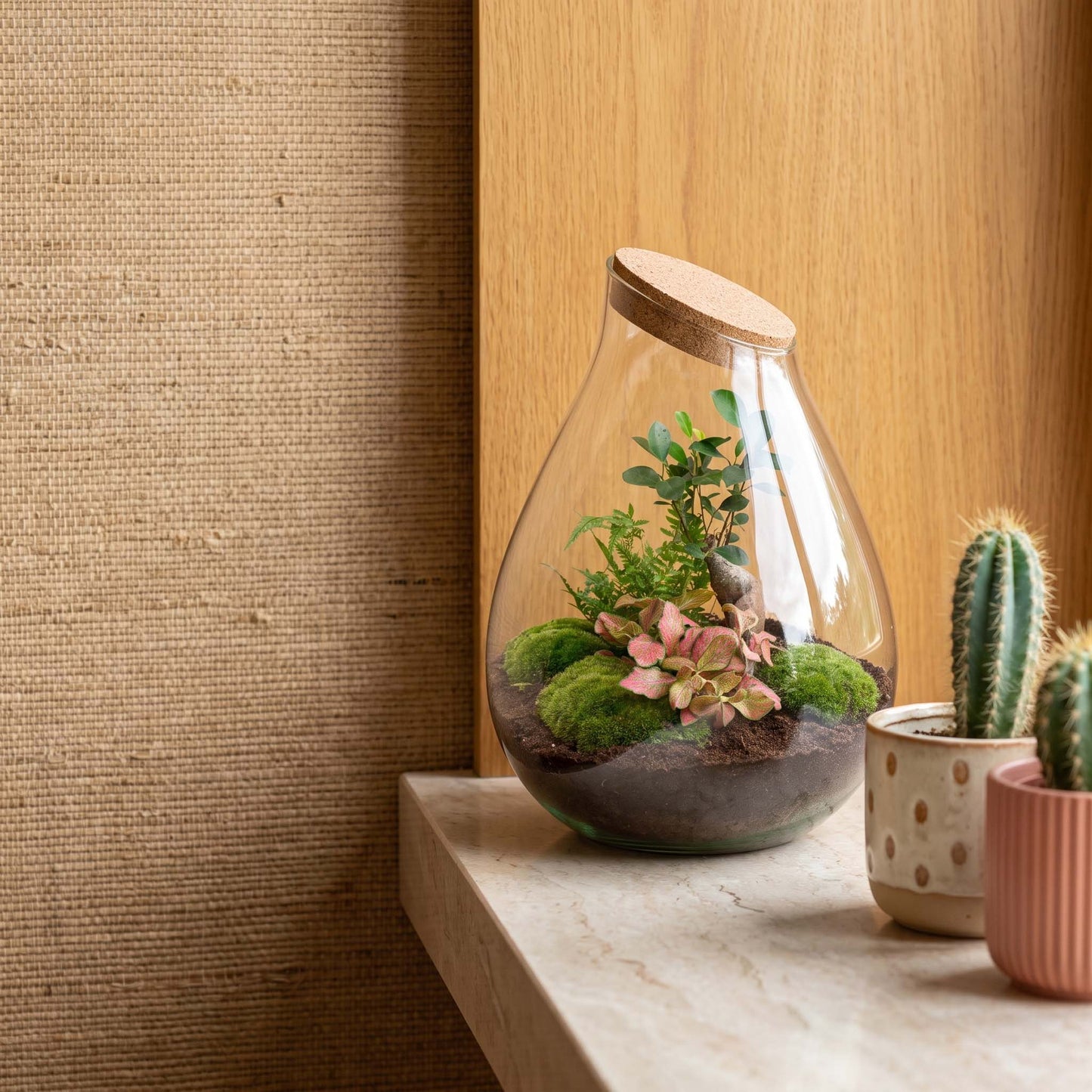 Comnox - Drop XXL Bonsai - Zelfbouw Terrarium Kit - Glazen Ecosysteem