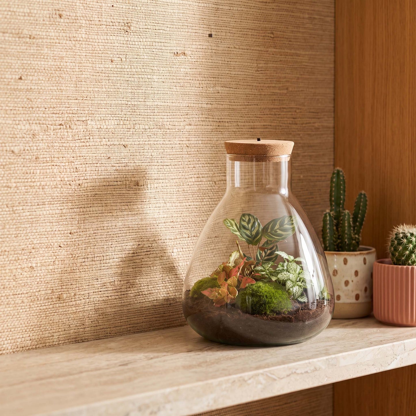 Comnox - Sam Calathea - DIY Terrarium Kit met LED - 30 cm