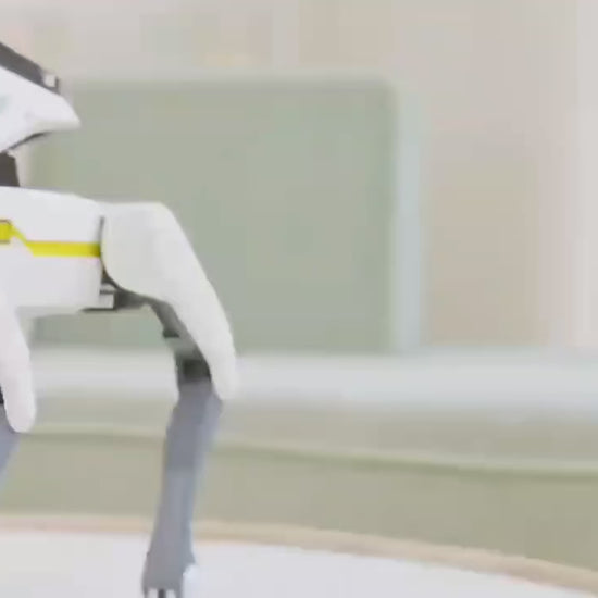 Teeggi Elektrische RC Robothond - Interactief Speelgoed voor Volwassenen en Kinderen - Slimme Bewegingen - 600mAh Batter - productvideo