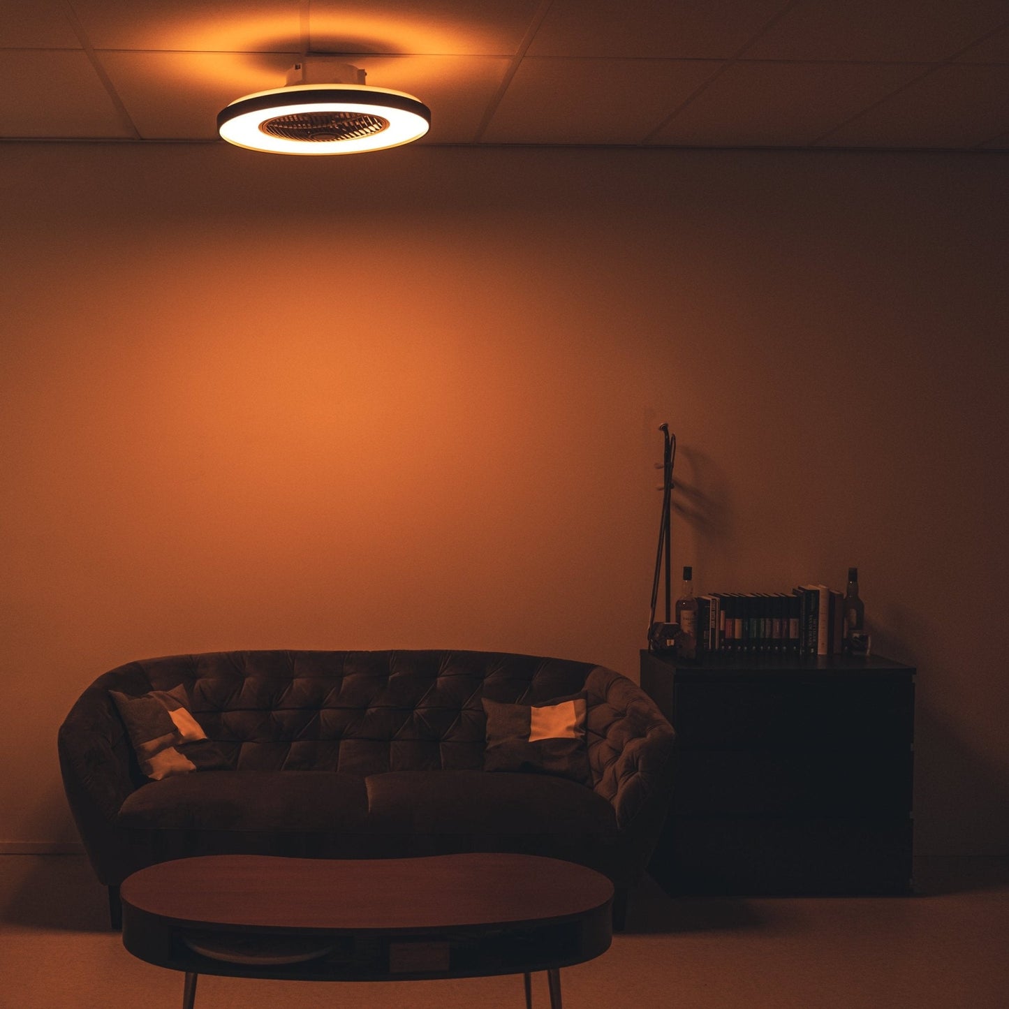 Proventa Premium Plafondventilator met lamp 60 cm - Zomer- en winterstand met afstandsbediening - Zwart