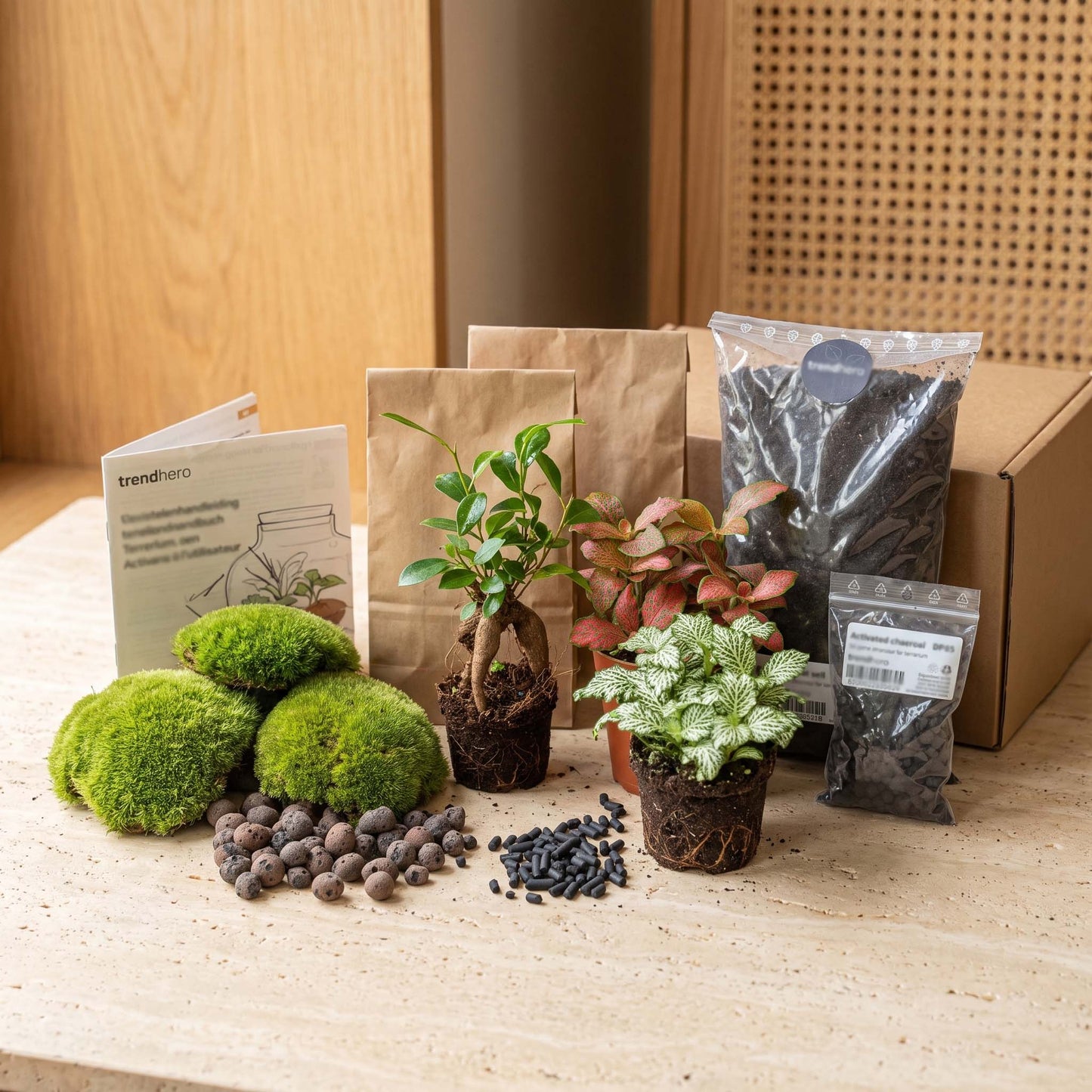 Comnox - Bonsai Ficus Ginseng Terrarium Kit - DIY Starter & Refill - Complete Set