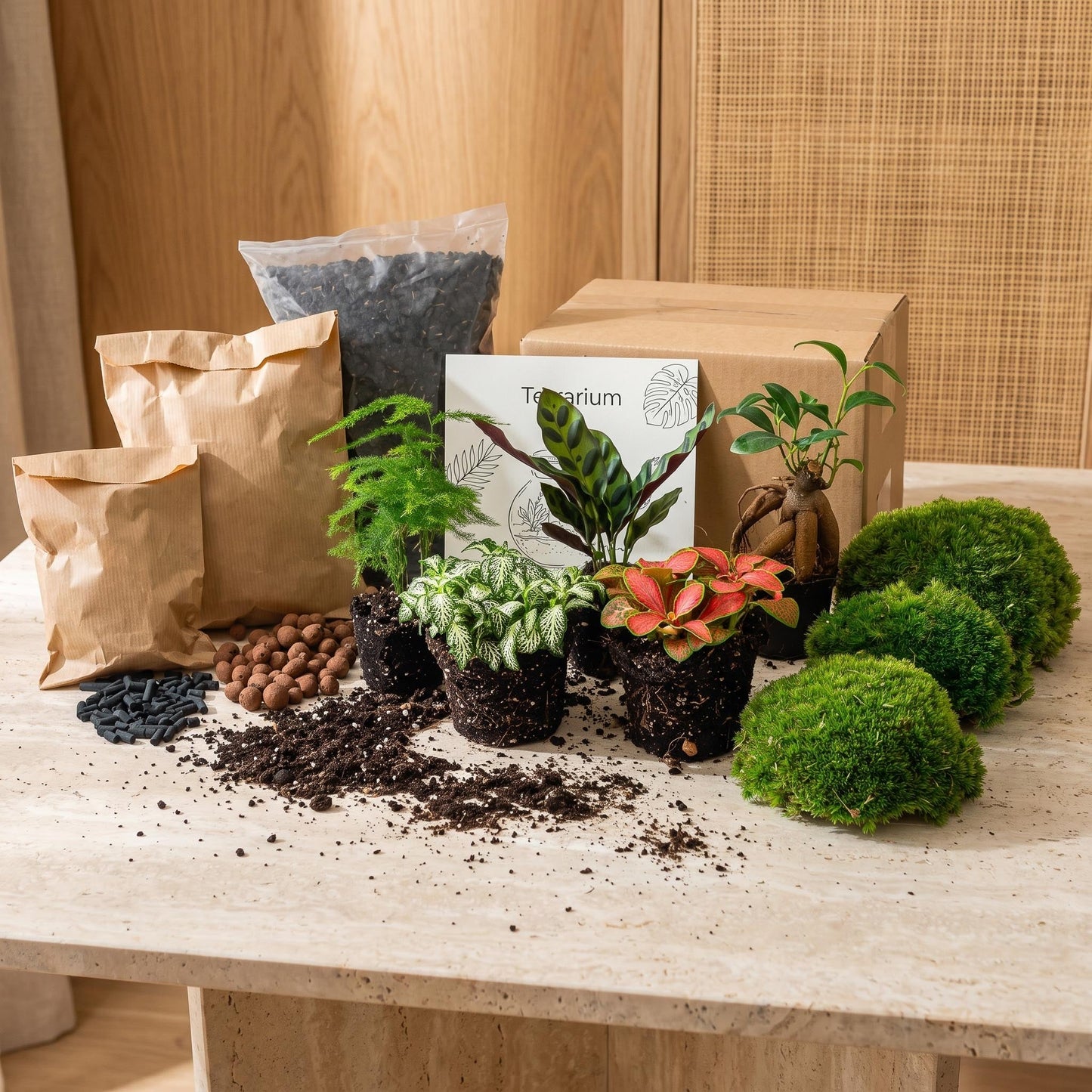 Comnox - Plant terrarium Refill & Starter kit - DIY pakket met 5 planten
