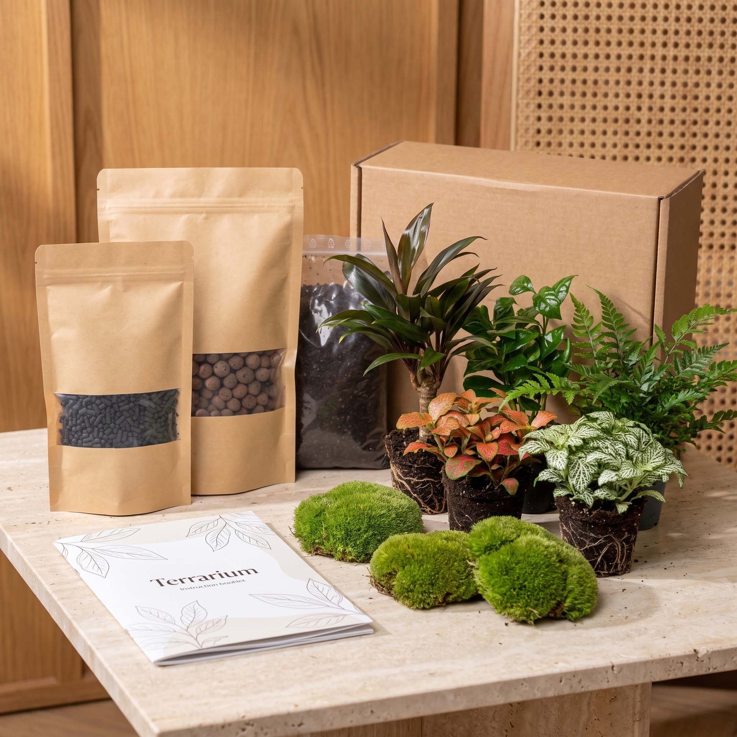 Comnox - Jungle 5 - Plant Terrarium Refill & Starter kit - DIY Groen Project