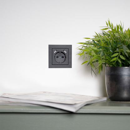 Reflex Inlegplaat voor wandcontactdoos met 2 USB - Zwart