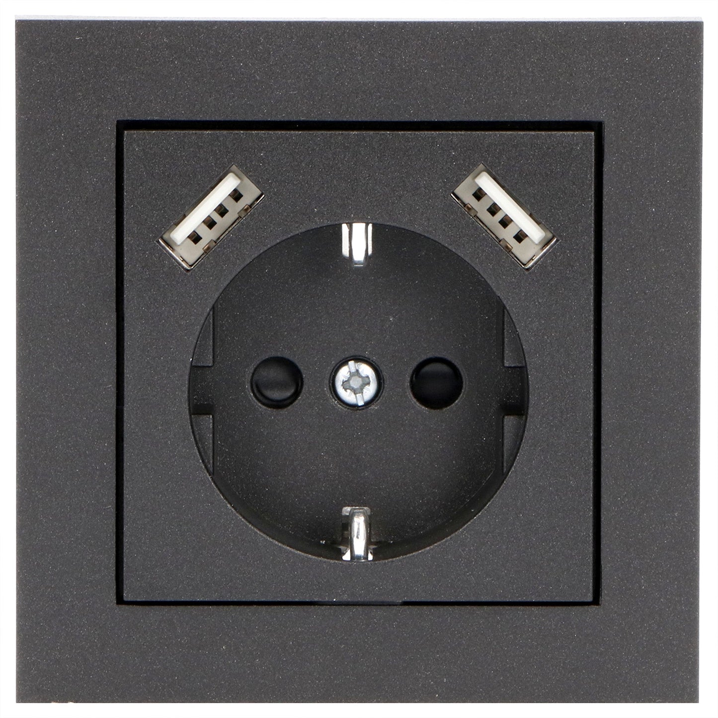 Reflex Inlegplaat voor wandcontactdoos met 2 USB - Zwart