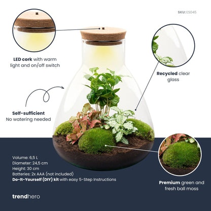 Comnox - Sam Coffea - Zelfbouw Terrarium Kit met LED - 30 cm